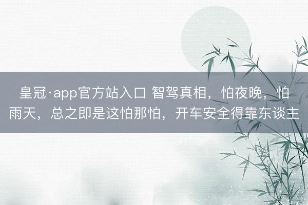 皇冠·app官方站入口 智驾真相，怕夜晚，怕雨天，总之即是这怕那怕，开车安全得靠东谈主
