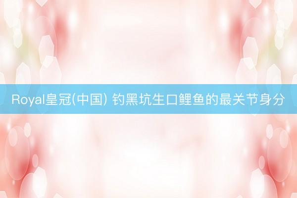 Royal皇冠(中国) 钓黑坑生口鲤鱼的最关节身分