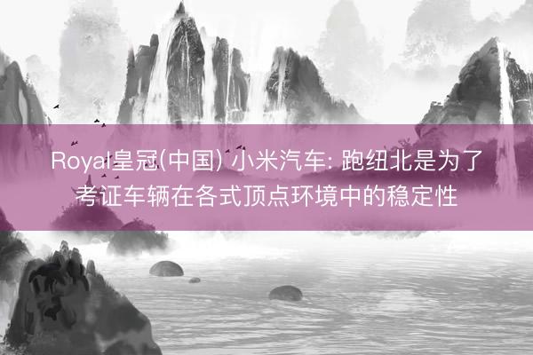 Royal皇冠(中国) 小米汽车: 跑纽北是为了考证车辆在各式顶点环境中的稳定性