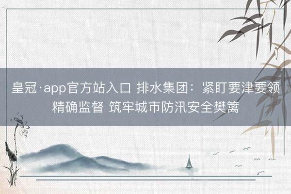 皇冠·app官方站入口 排水集团：紧盯要津要领精确监督 筑牢城市防汛安全樊篱