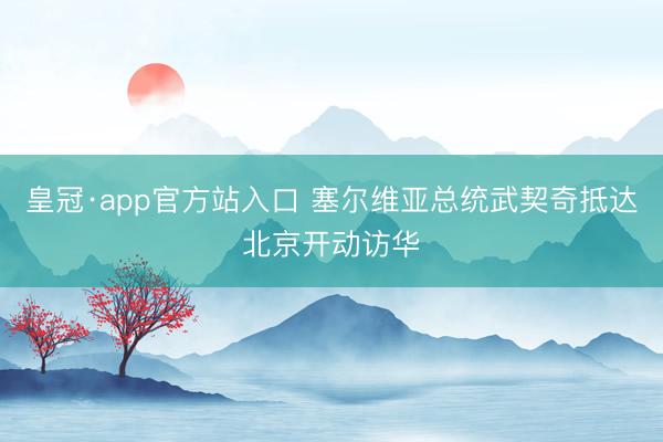 皇冠·app官方站入口 塞尔维亚总统武契奇抵达北京开动访华