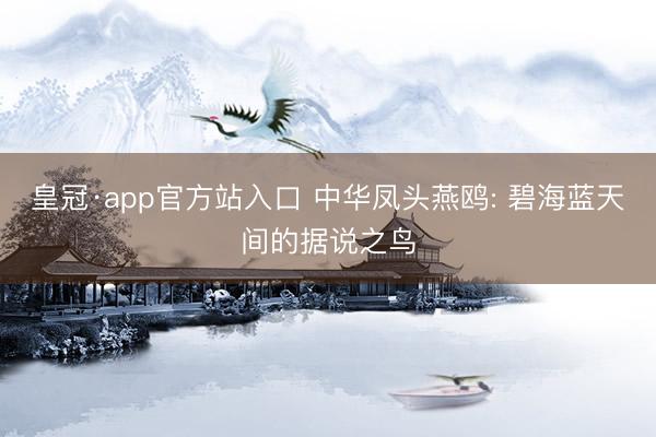 皇冠·app官方站入口 中华凤头燕鸥: 碧海蓝天间的据说之鸟