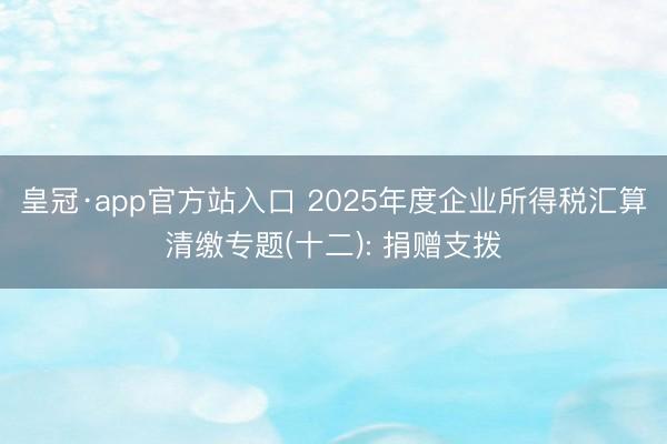 皇冠·app官方站入口 2025年度企业所得税汇算清缴专题(十二): 捐赠支拨
