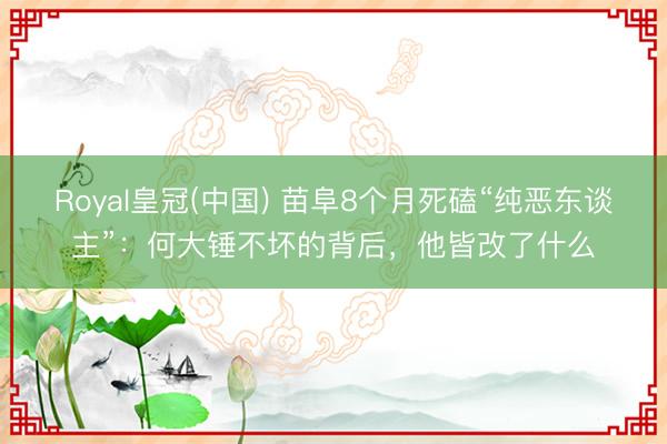 Royal皇冠(中国) 苗阜8个月死磕“纯恶东谈主”：何大锤不坏的背后，他皆改了什么