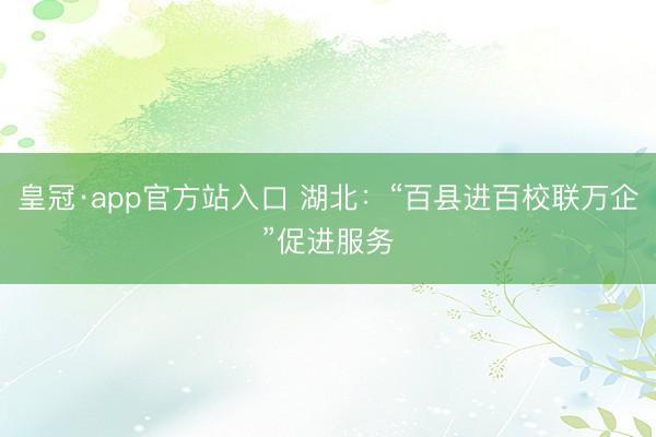 皇冠·app官方站入口 湖北：“百县进百校联万企”促进服务